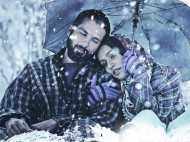 Movie Review Haider