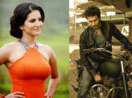 Sunny Leone and Rajniesh Duggal paired again!