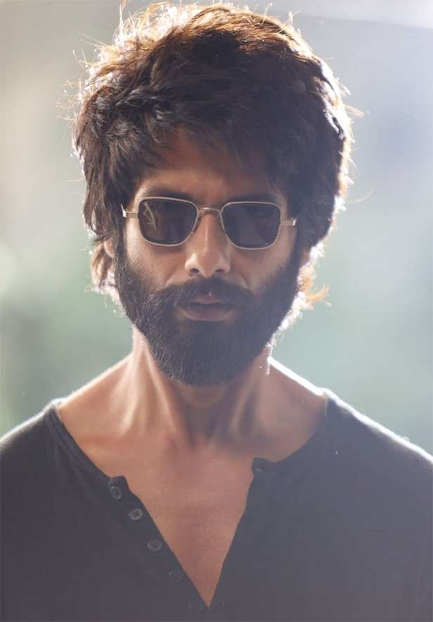 highest grossing movies kabir singh 31562830086