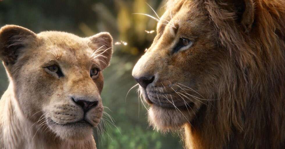 The Lion King crosses the Rs 75 crore mark at the box-office | Filmfare.com