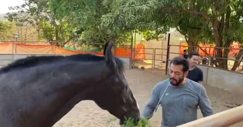 Video: Here's what Salman Khan is up to at his Panvel farmhouse ...