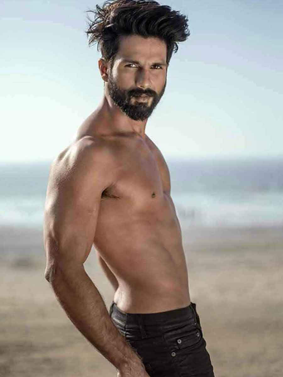 Shahid Kapoor in 'Udta Punjab'​ - Bollywood actors who donned long hair in  films. Here's the list | The Economic Times