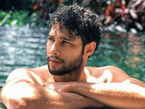 Siddhant Chaturvedi to collaborate with RSVP Movies soon? | Filmfare.com