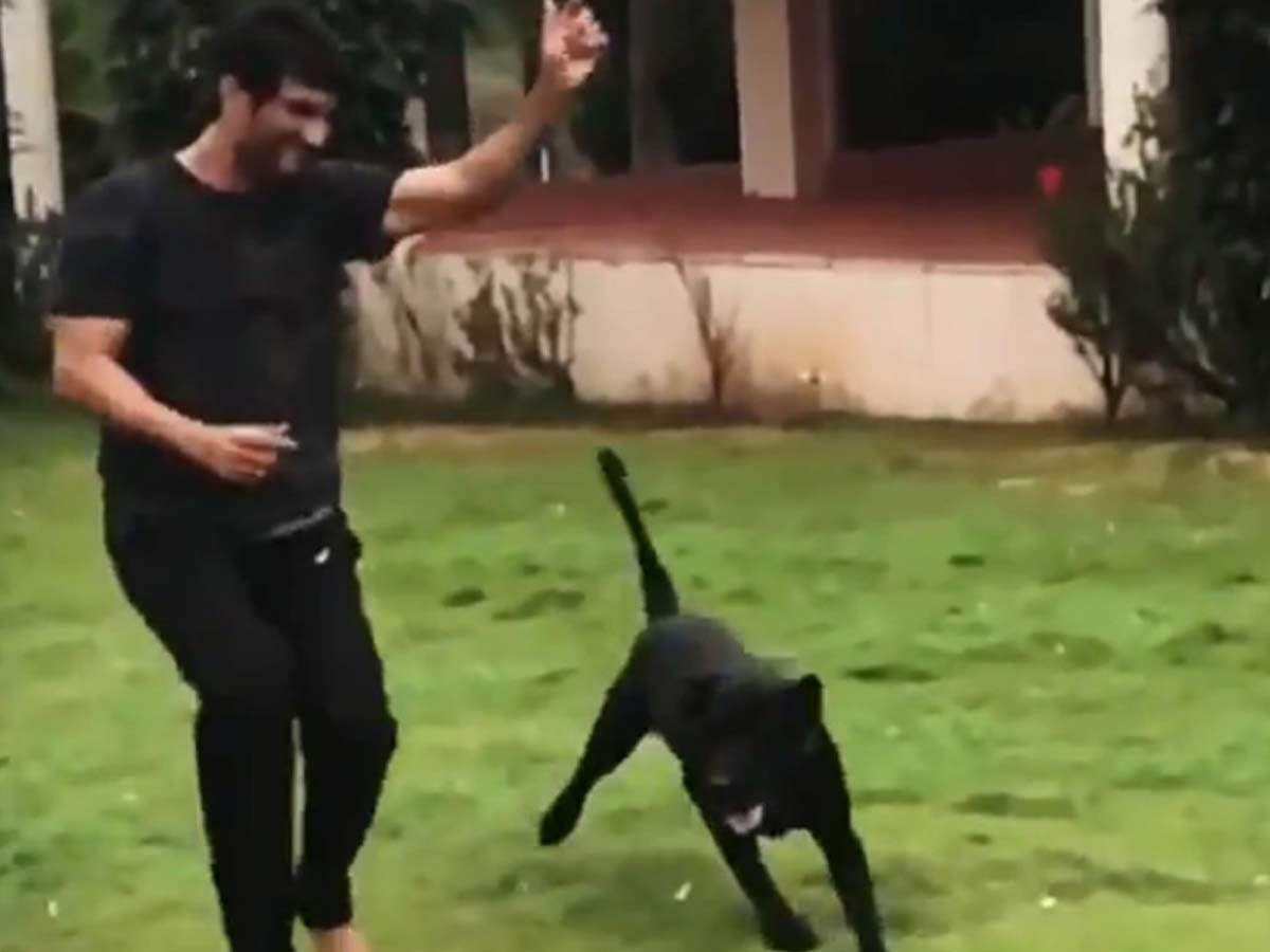 Sushant Singh Rajput’s dog Fudge is now living with the late actor's family