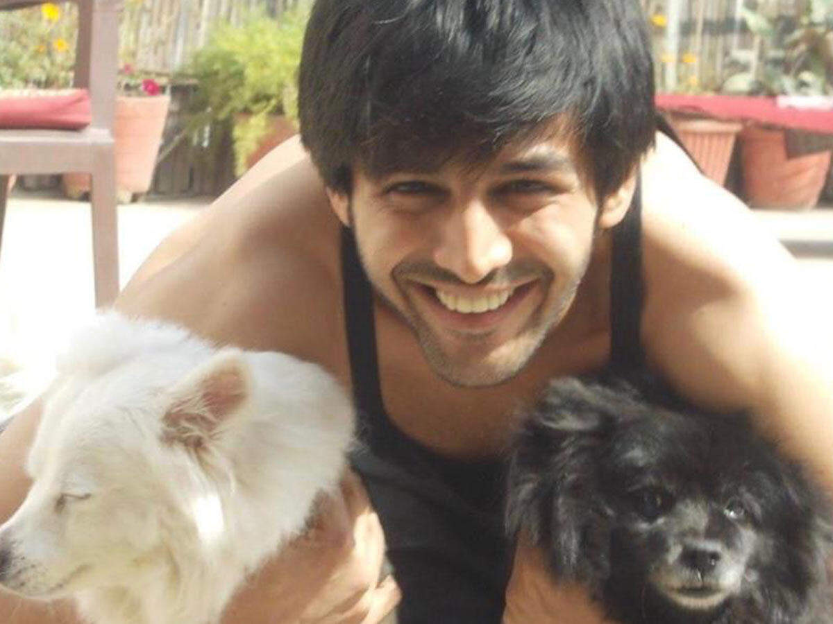 Kartik Aaryan is left heartbroken as China begins the Yulin dog-meat ...