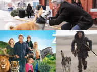 Best Hollywood Films of this decade revolving around pets