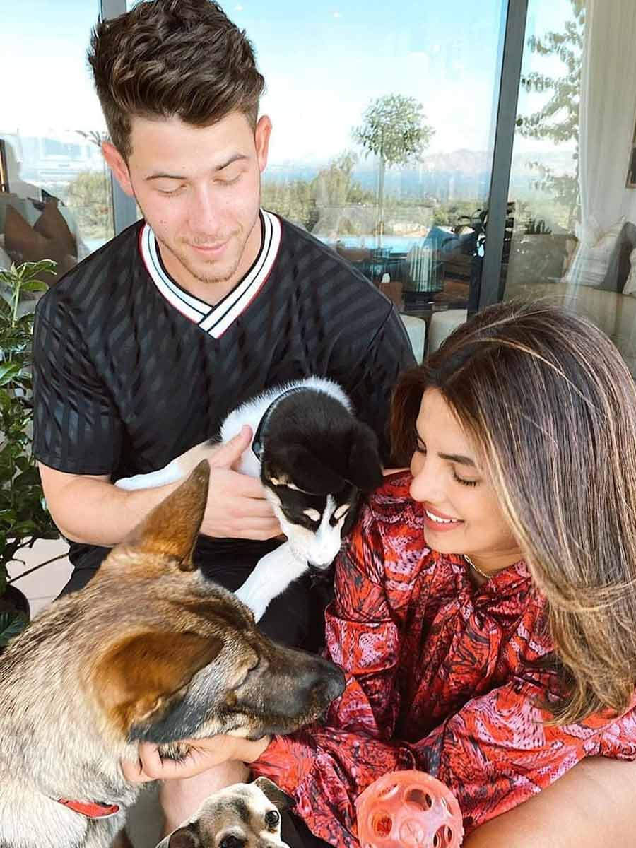 Is Priyanka Chopra's Dog the Most Fashionable Pet in Hollywood