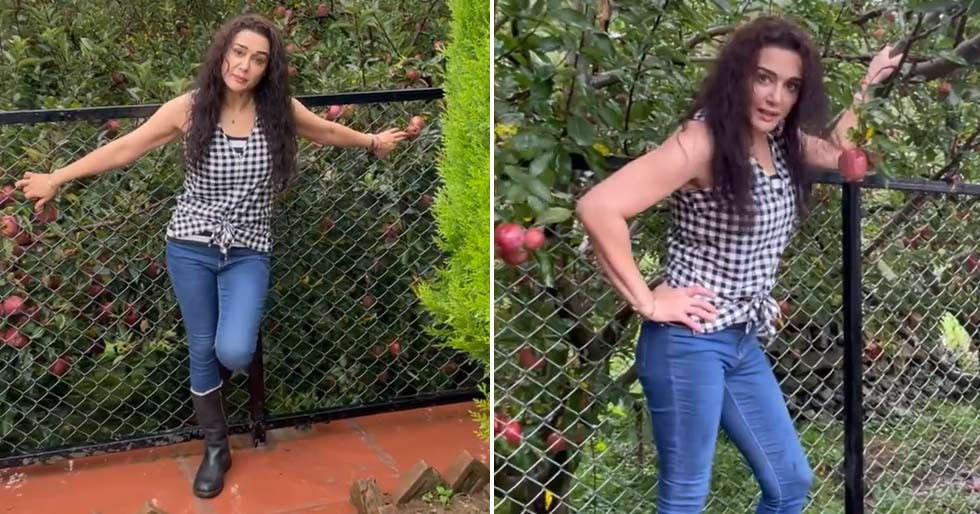 Video: Preity Zinta Gives A Tour Of Her Apple Orchard In Shimla