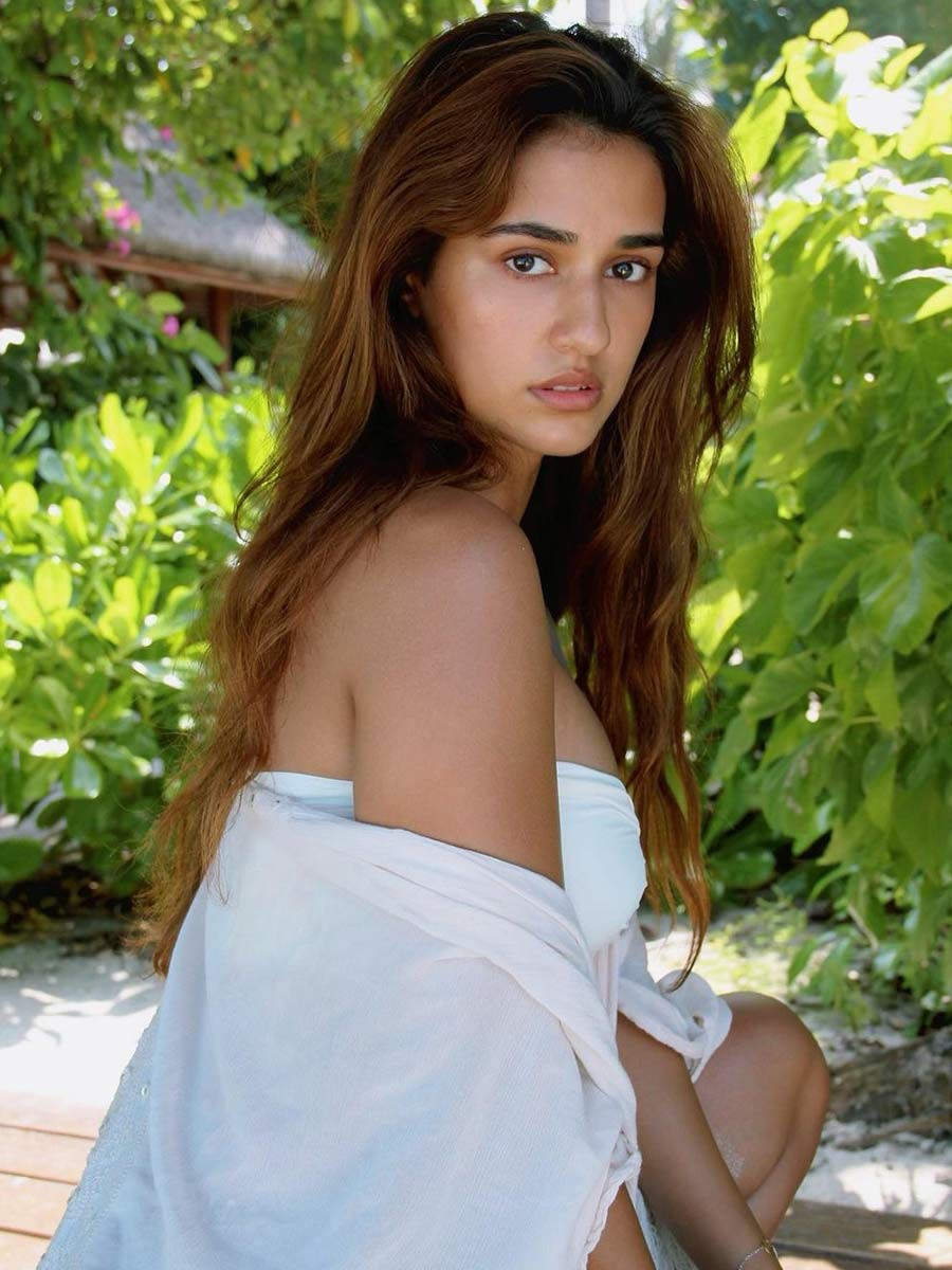 Oh That Summer Glow! Disha Patani Looks Flawless In This Photo – SimplyAmina