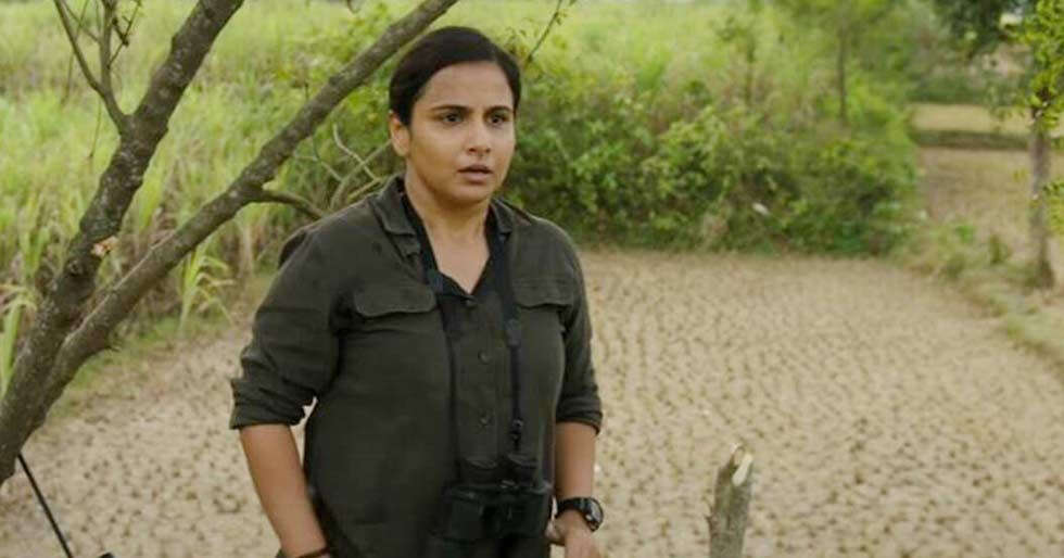 Trailer: Vidya Balan goes into the wild to battle out sexism in Sherni - Vimarsana News