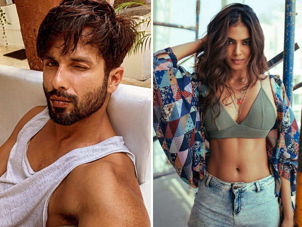 Shahid Kapoor and Malavika Mohanan to come together for a project