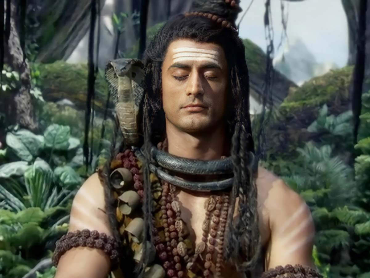 Mohit Raina