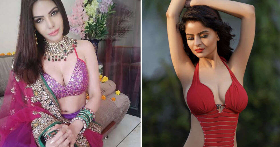 Gehana Vasisth says Sherlyn Chopra ought to worship Raj Kundra