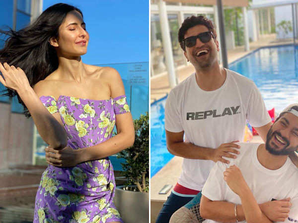 Here's what Sunny Kaushal has to say about Vicky Kaushal and Katrina Kaif's engagement rumours