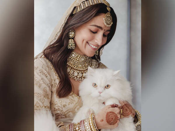 Alia Bhatt shares a picture from her wedding with cat of honour Edward