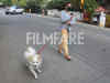 Pictures: Malaika Arora walks her pet in Bandra