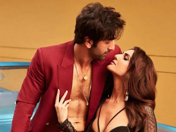 Ranbir Kapoor and Vaani Kapoor's latest photoshoot is all things hot