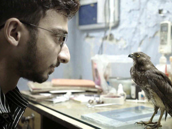 Cannes 2022: All That Breathes, an unmissable Indian documentary gets a special screening