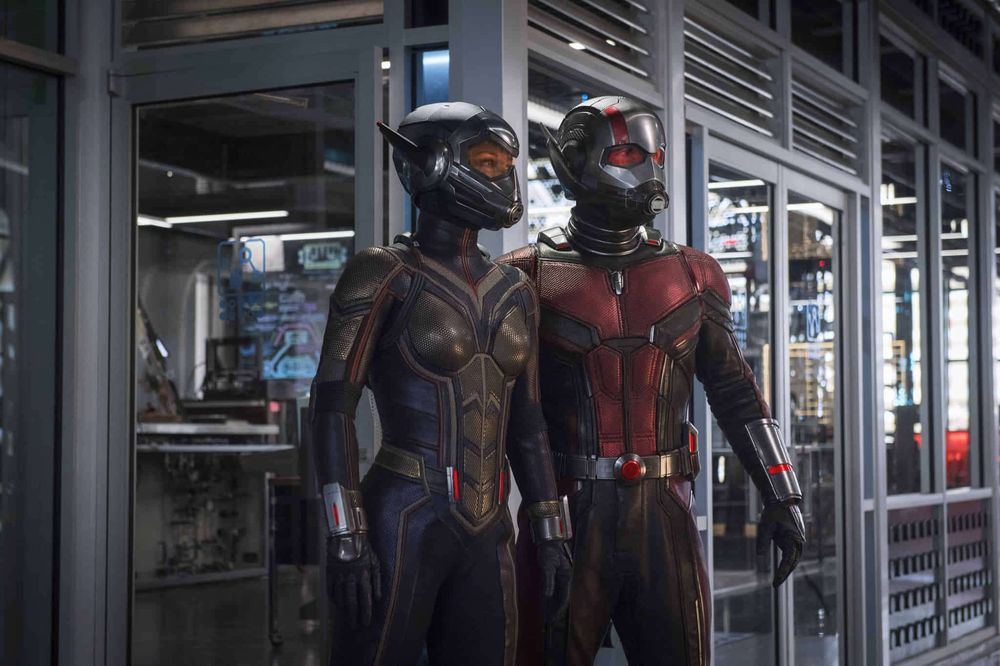 Marvel Movie - Ant-Man and the Wasp
