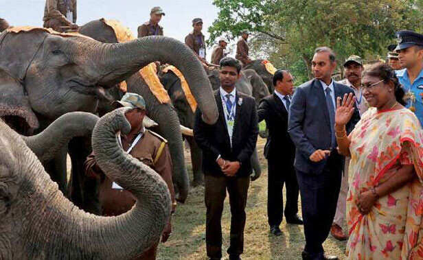 The Honourable President of India Droupadi Murmu