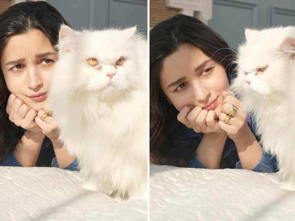 Alia Bhatt's adorable picture with the cat Edward is going to melt your heart; see pics