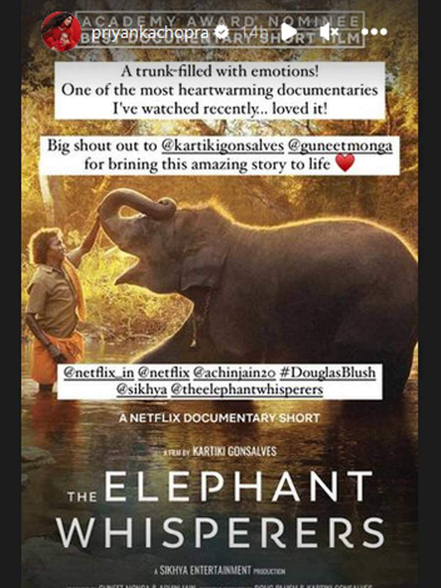 Priyanka Chopra Jonas The Elephant Whisperers