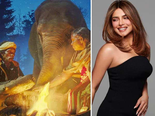 Priyanka Chopra Jonas praises Guneet Monga's Oscar-nominated documentary The Elephant Whisperers