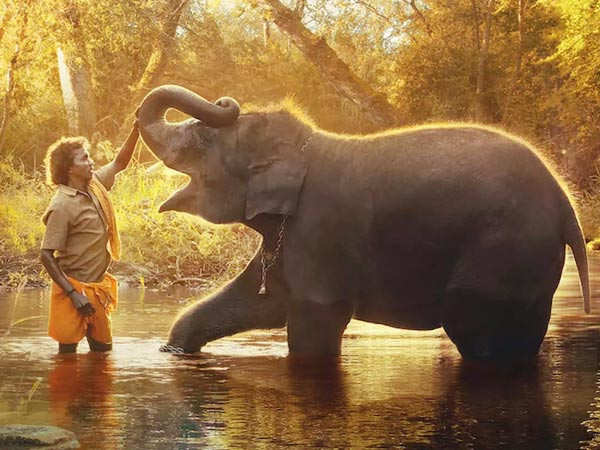 The Elephant Whisperers couple react to the film's Oscars win