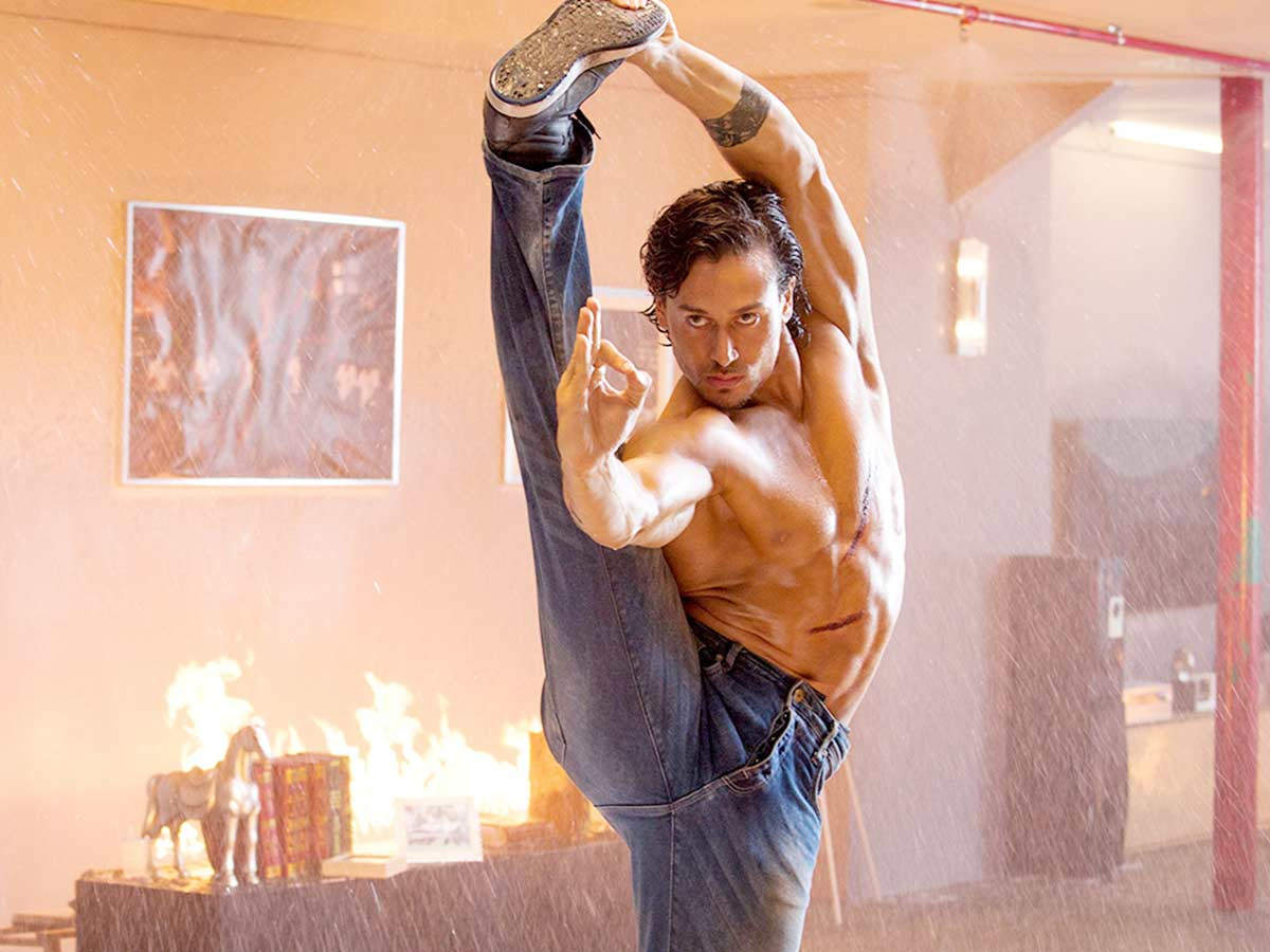 Tiger Shroff Expertise in Martial Arts