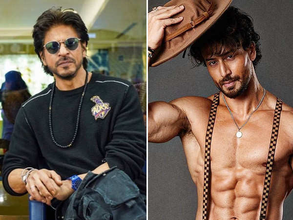 Shah Rukh Khan's witty comeback to Tiger Shroff's praise for Jawan takes over the internet