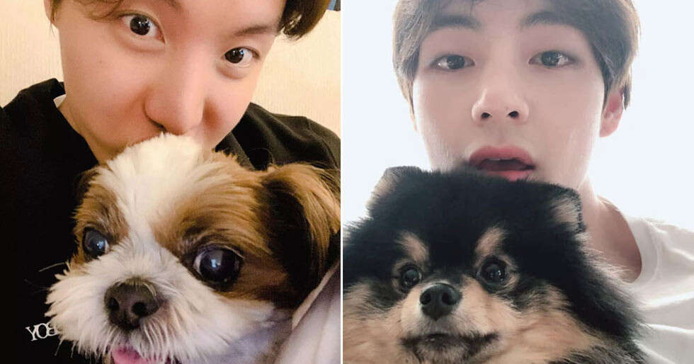 PHOTOS: BTS members being adorable with their pets