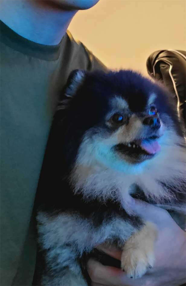 BTS Taehyung Yeontan