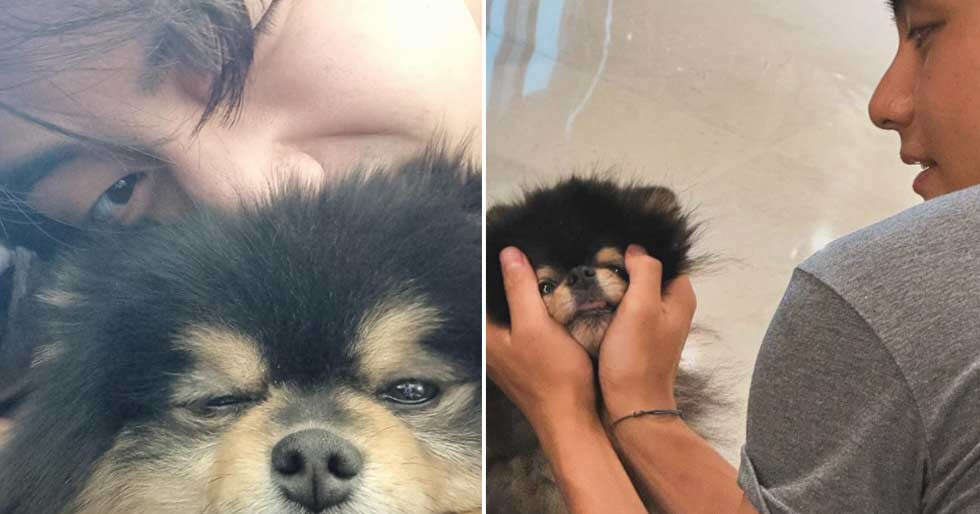 BTS’ Kim Taehyung’s dog Yeontan passes away