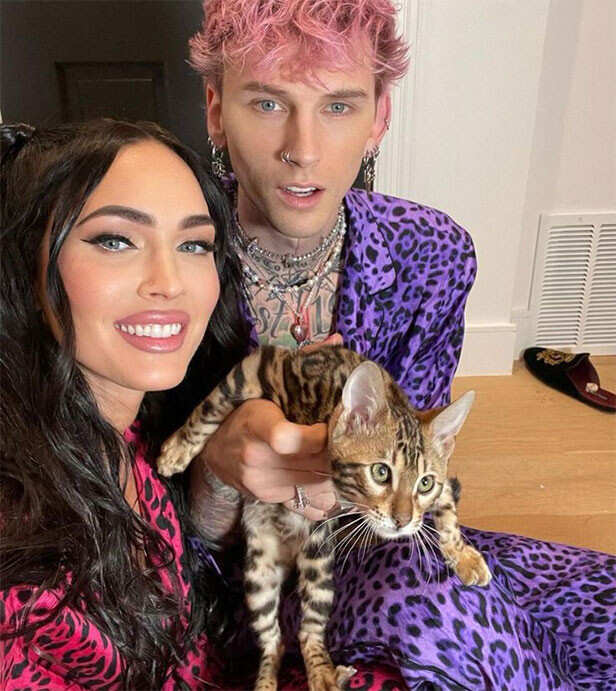 Megan Fox and Machine Gun Kelly Co Parenting