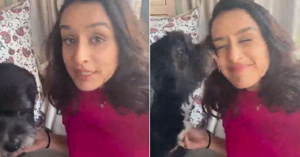 Shraddha Kapoor shares her hilarious take on Kiss Day with the cute dog ...