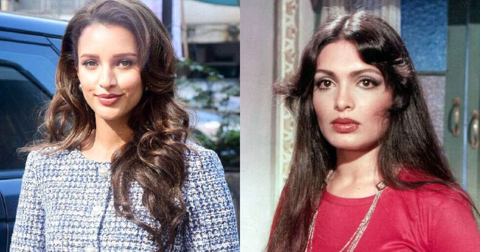 Exclusive: Triptii Dimri locked for Parveen Babi biopic series on OTT