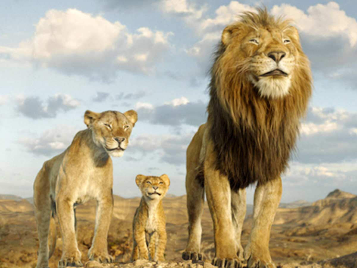 Mufasa Mufasa Mufasa