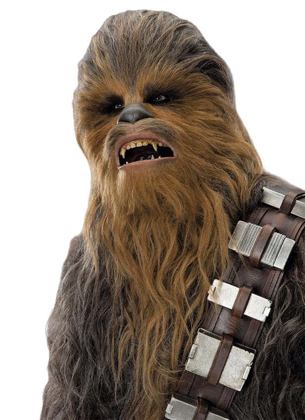 Star Wars Character: Chewbacca