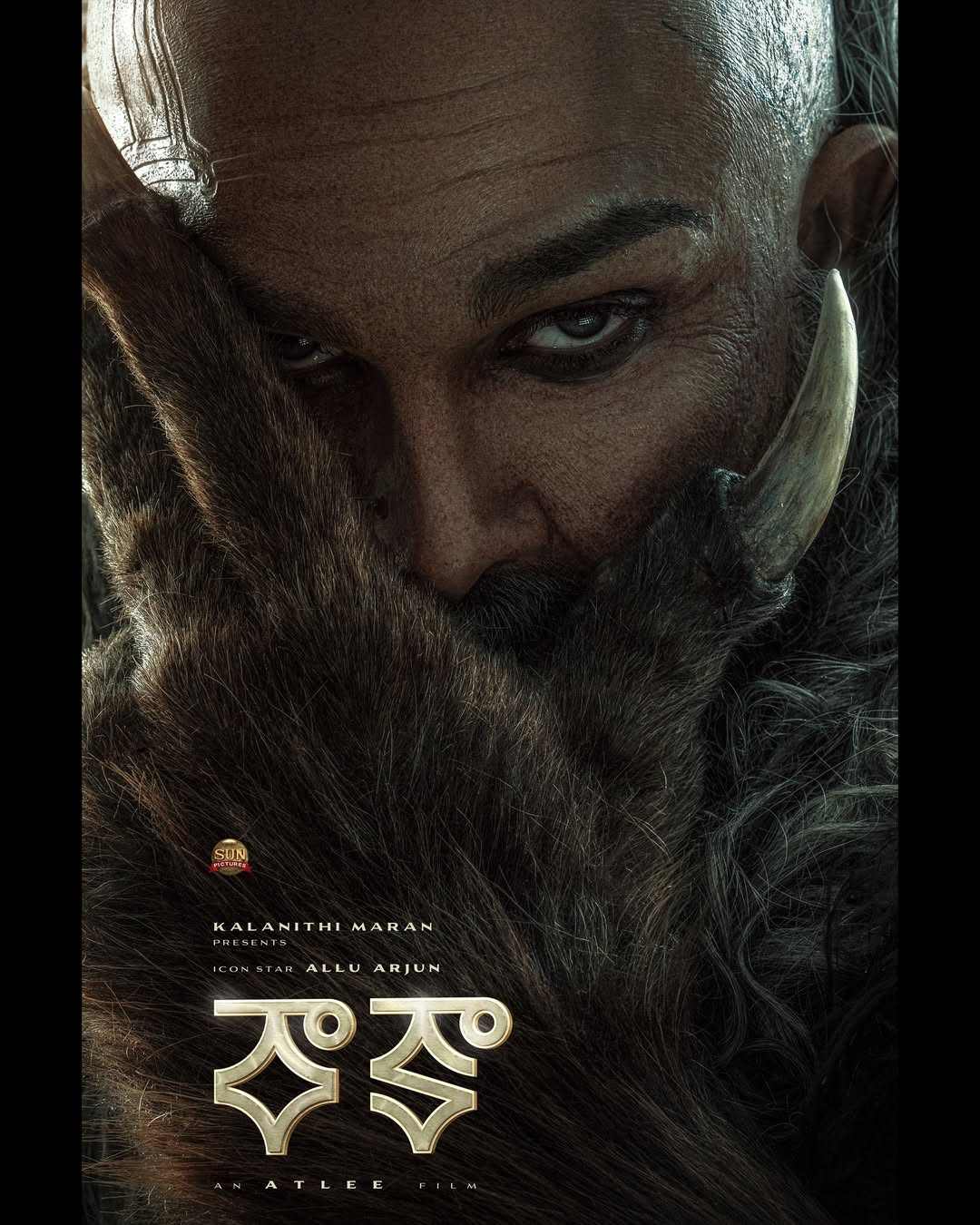 Allu Arjun Raaka