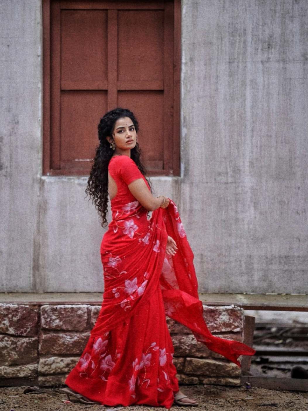 Anupama Parameswaran boyfriend