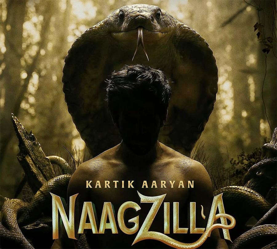 Kartik Aaryan Kartik Aaryan