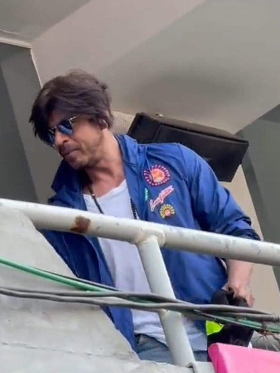 Shah Rukh Khan Deepika Padukone Ranveer Singh And Others At The Cricket World Cup 2023 Pics 