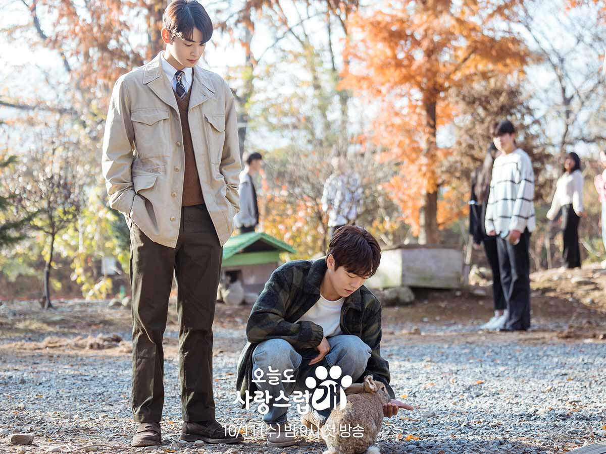 Get a peek into Cha Eun-woo and Park Gyu-young's A Good Day to Be a Dog ...