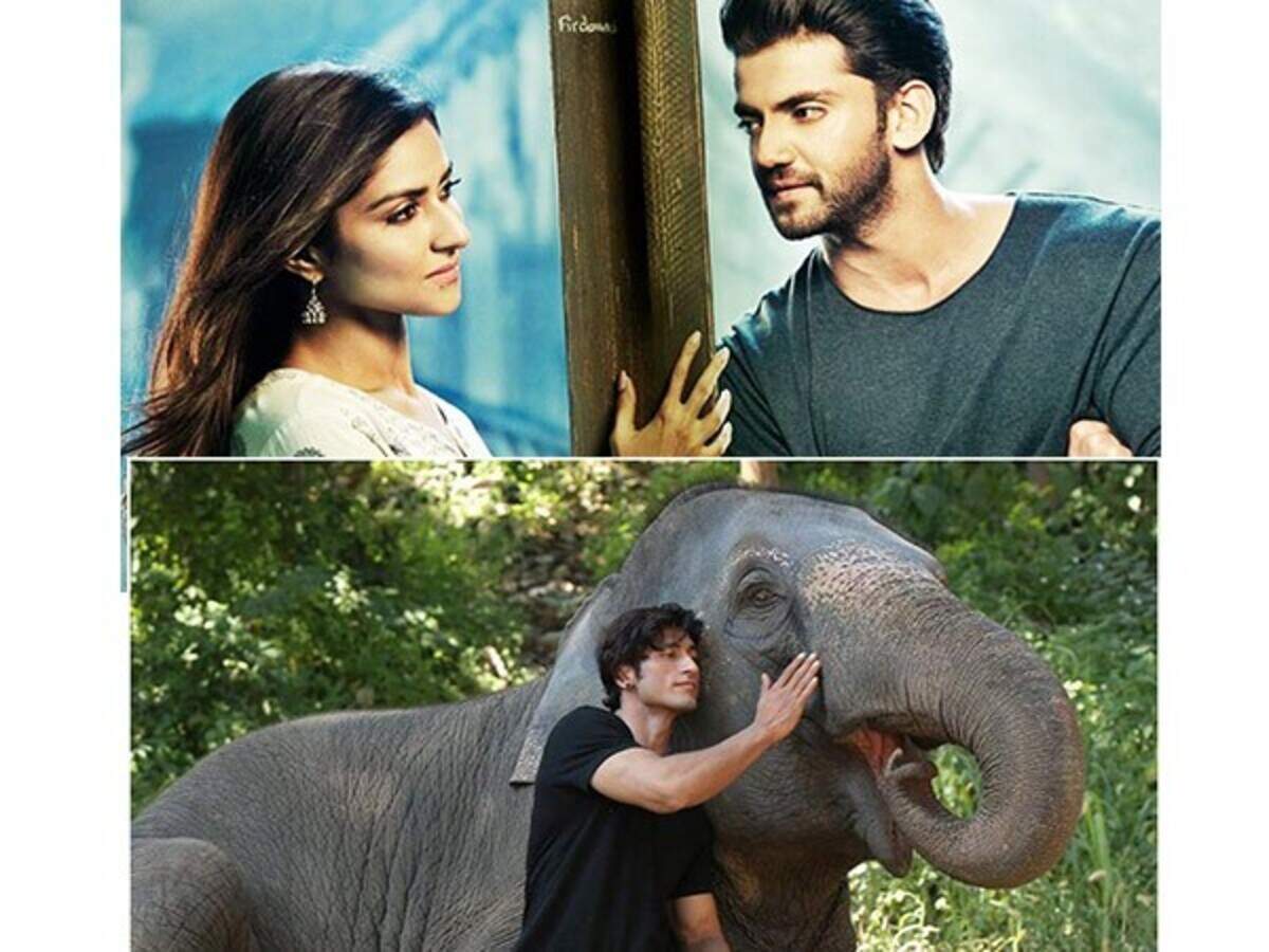 Junglee Box Office Collection : .junglee total collection, junglee