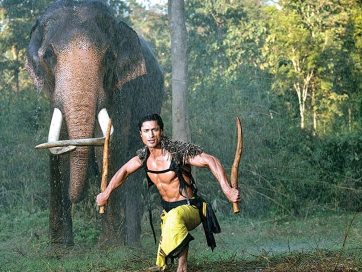 Movie Review: Junglee | Filmfare.com