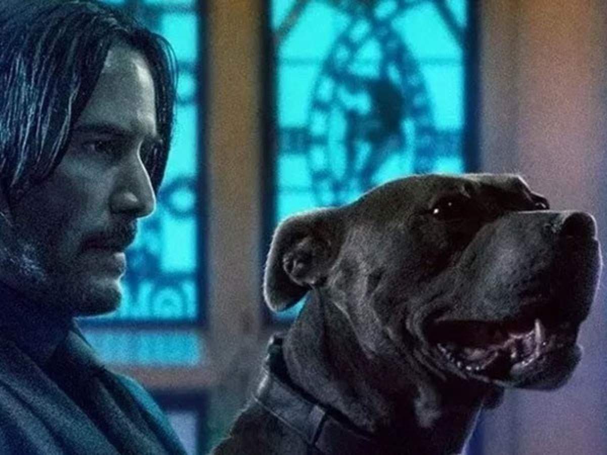 John Wick: Chapter 3 Parabellum Review - Martial Journal