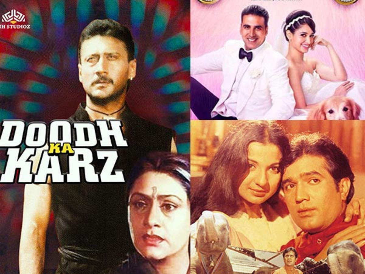 Filmfare Recommends: Bollywood Movies Where Pets Were The Real Heroes |  