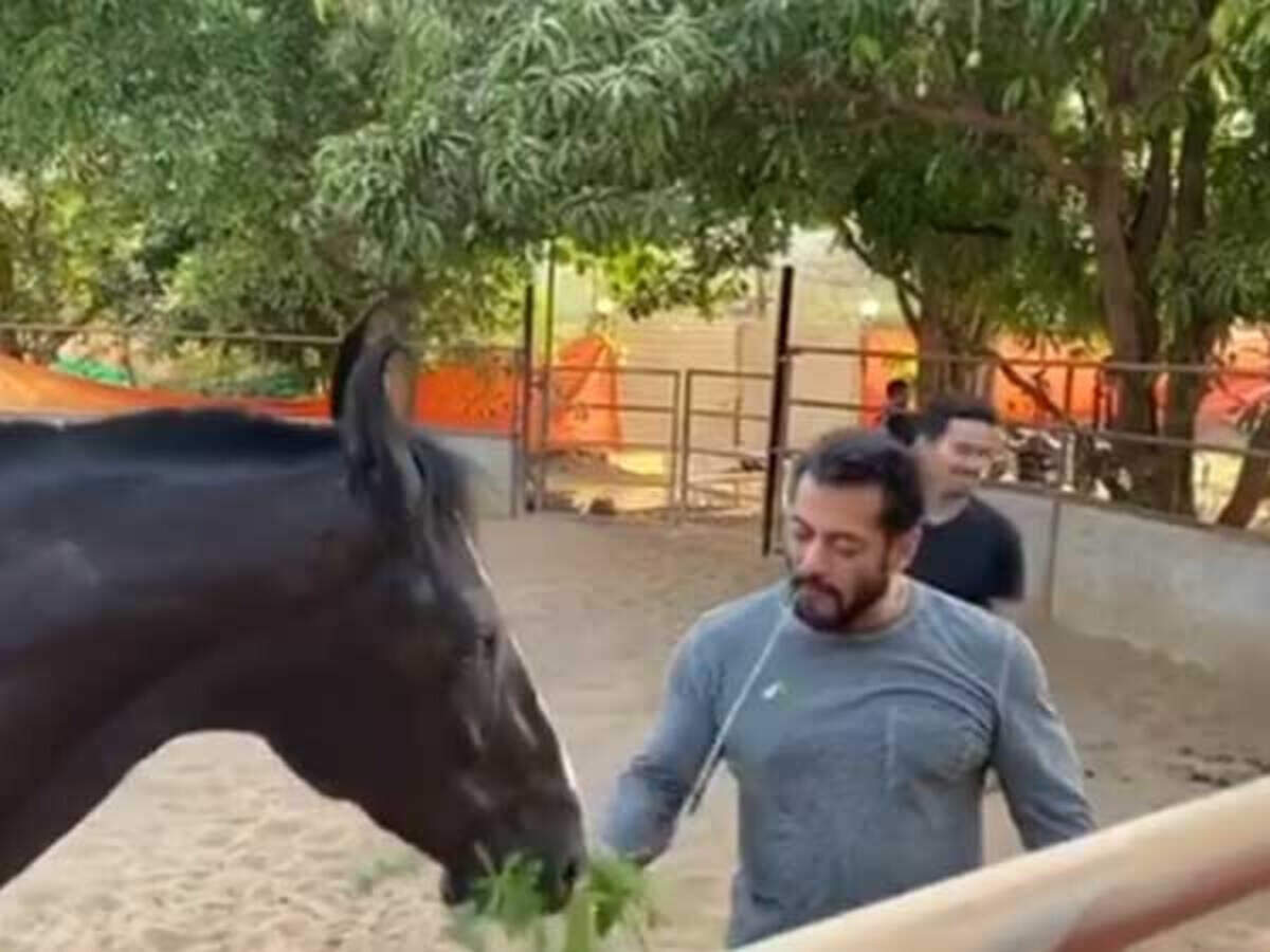 Video: Here&#39;s what Salman Khan is up to at his Panvel farmhouse | Filmfare.com