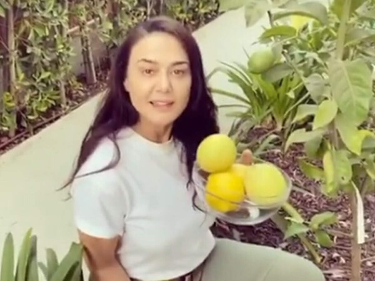 Preity Zinta Is All Things Excited And Proud As She Flaunts Her Kitchen Garden Filmfare Com Gene goodenough married preity zinta in a private ceremony in la on monday night. proud as she flaunts her kitchen garden