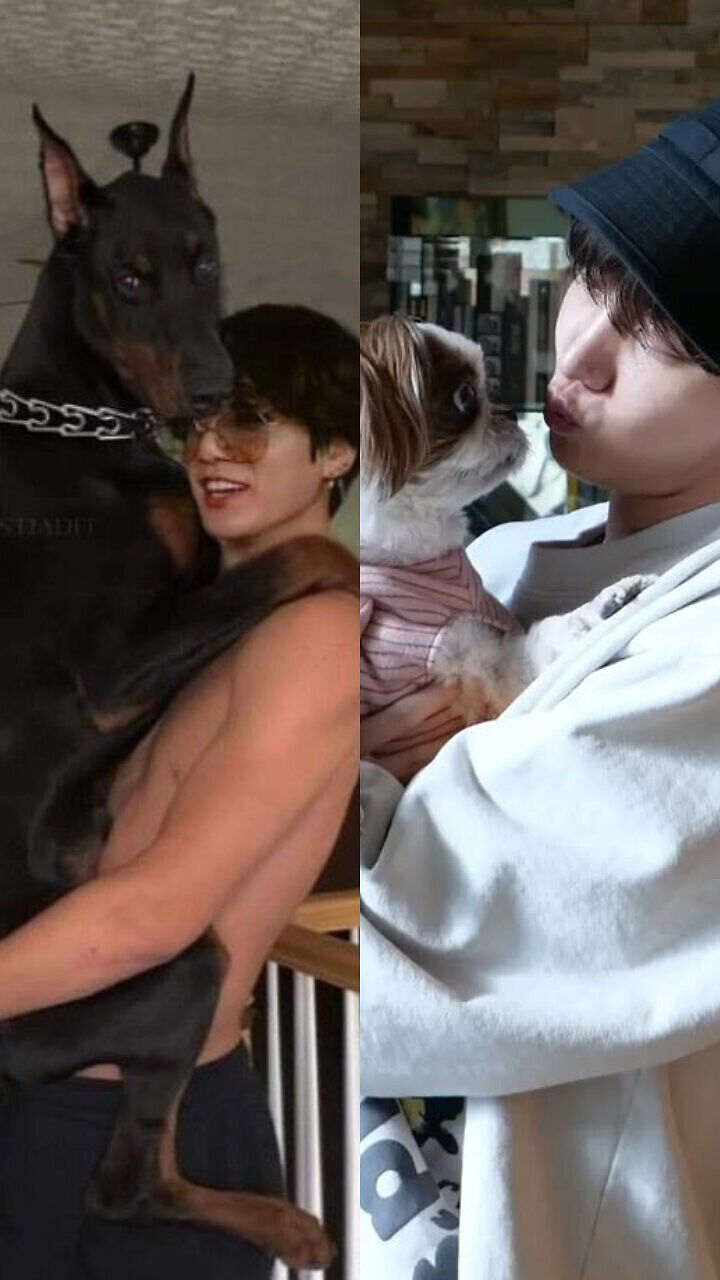 BTS Members and Their Adorable Pets | Filmfare.com